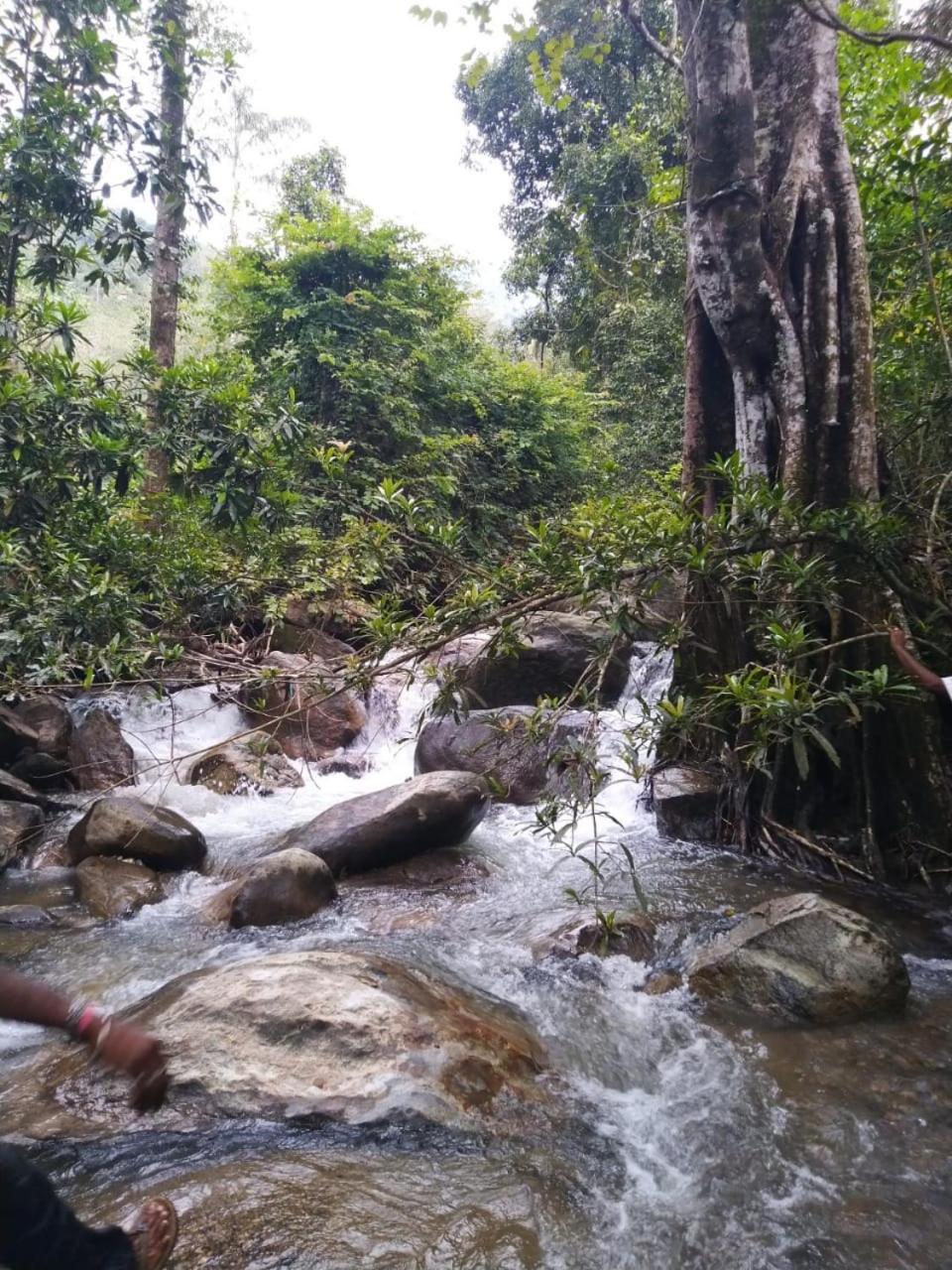 Mistywindvalley Kudayattur Exterior foto